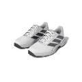 White/Silver